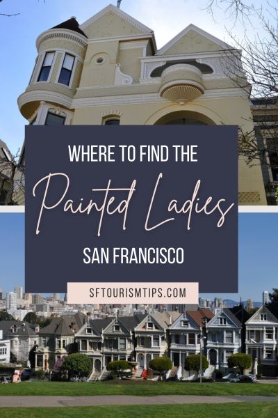 Painted Ladies Pin