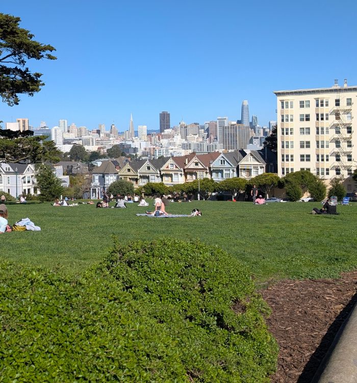 Painted Ladies Alamo Square