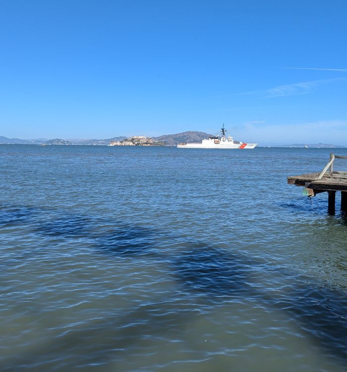 Parade of Ships at SF's annual Fleet Week celebration.