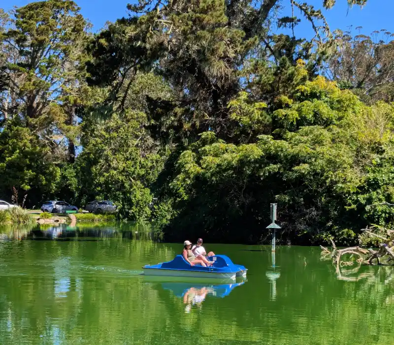 A pedal boat on the lake