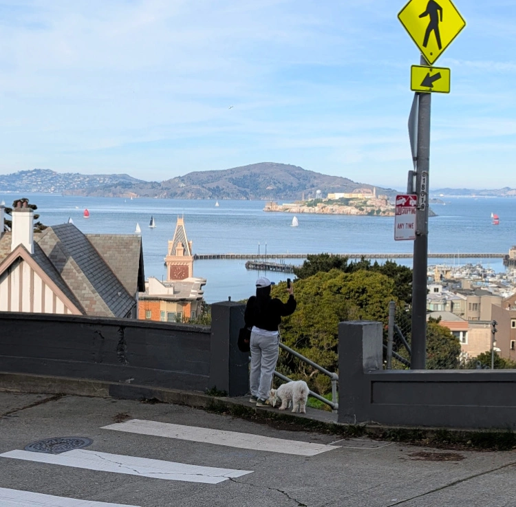A pet owner out with her dog sightseeing around San Francisco with Alcatraz in the background.