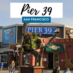 pier 39 300