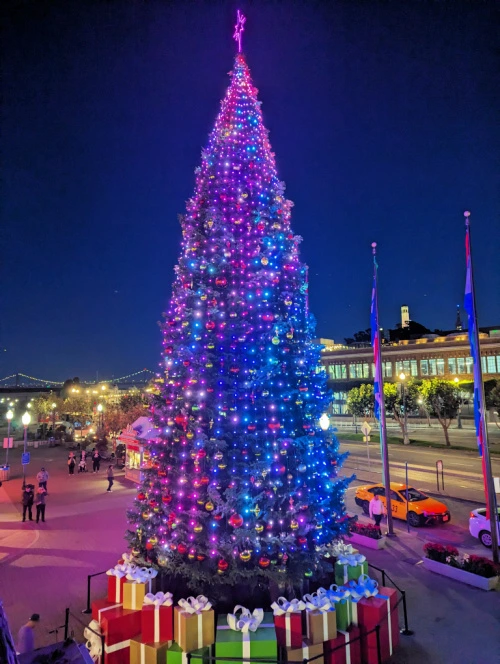 Pier 39 Christmas Tree Lighting in San Francisco