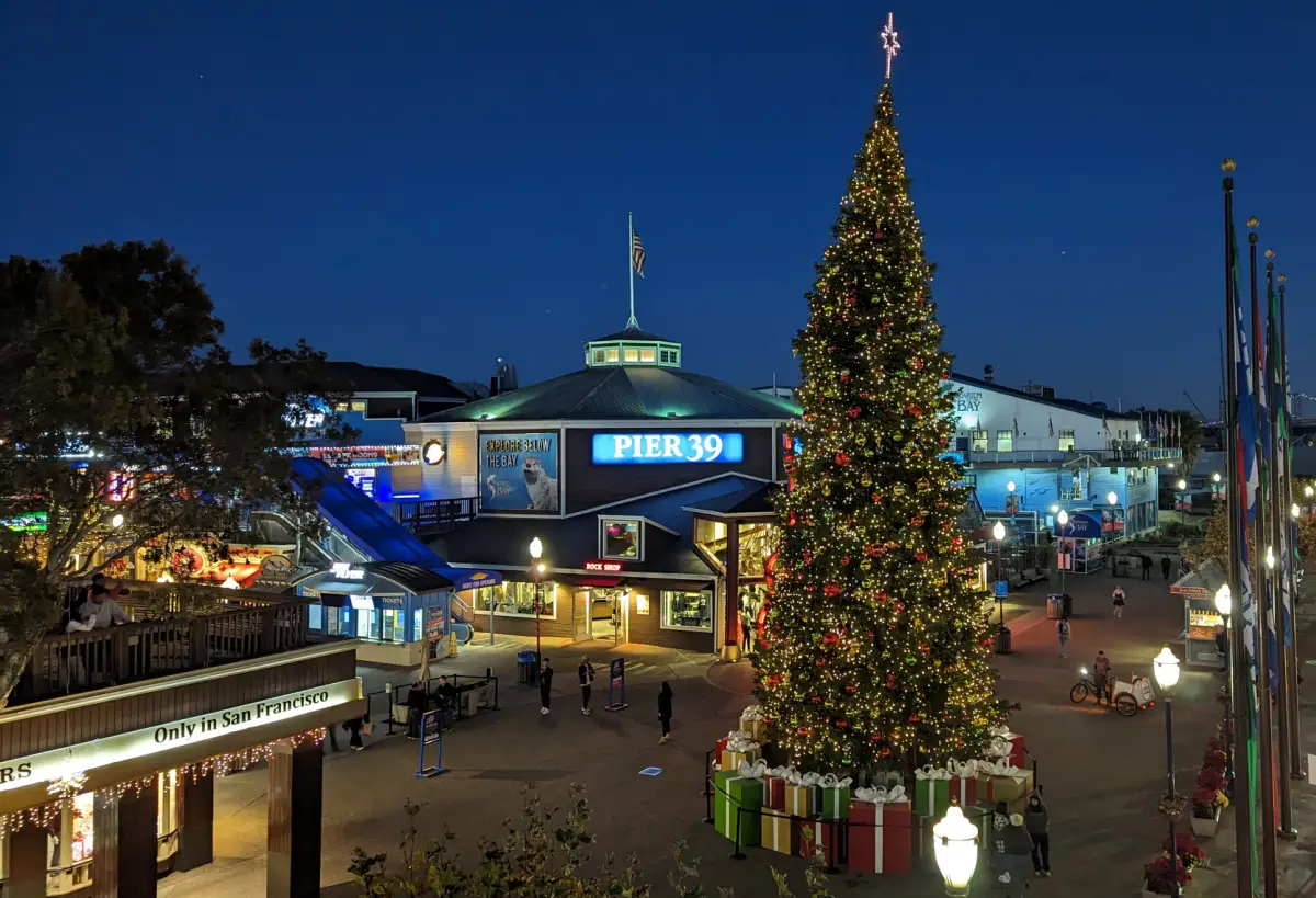 Christmas Tree in front of Pier 39