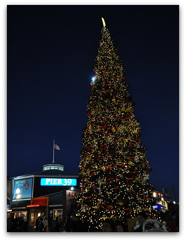Pier 39 Christmas Tree at Night
