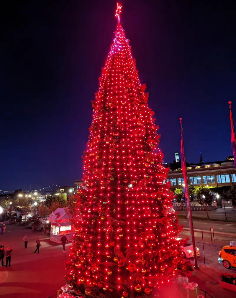 The Pier 39 Christmas Tree in all red this holiday season