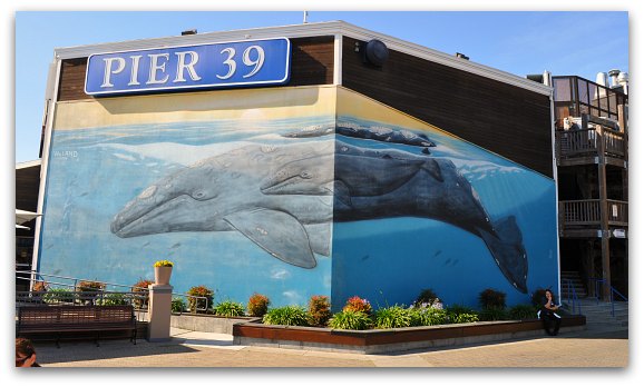 Pier 39 in San Francisco - San Francisco's Popular Waterfront