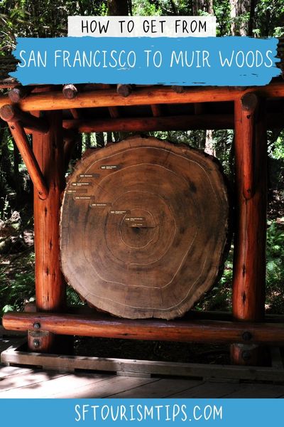 Pinterest Pin - SF to Muir Woods