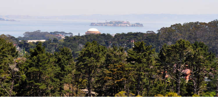 Presidio Views of Alcatraz