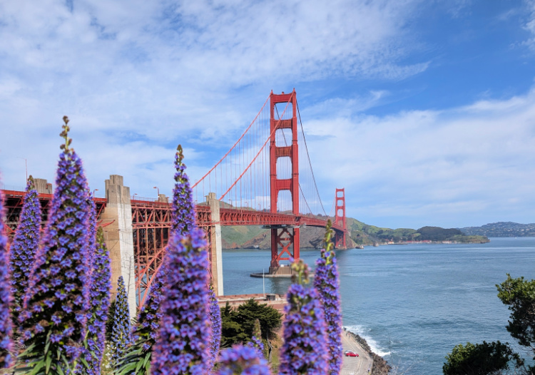 Spring at the Golden Gate Bridge