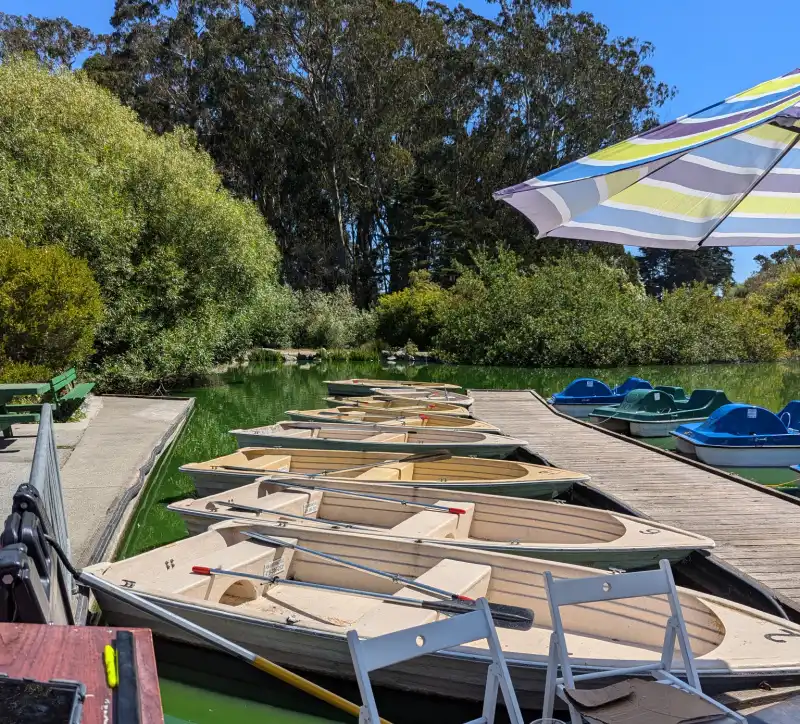 The row boats and more pedal boats in Golden Gate Park.