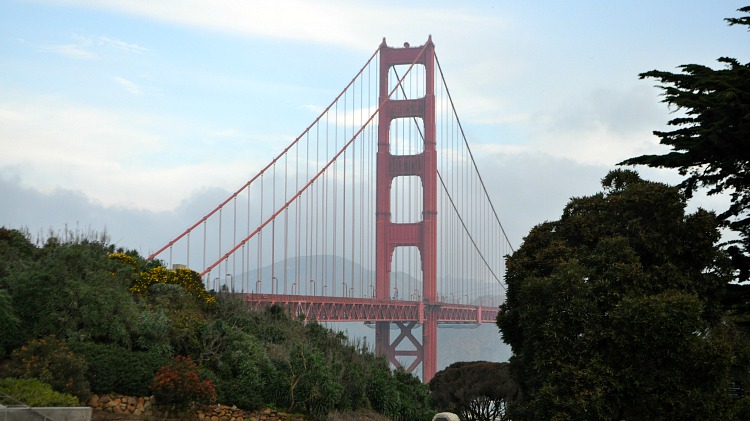 Clima en san francisco shop