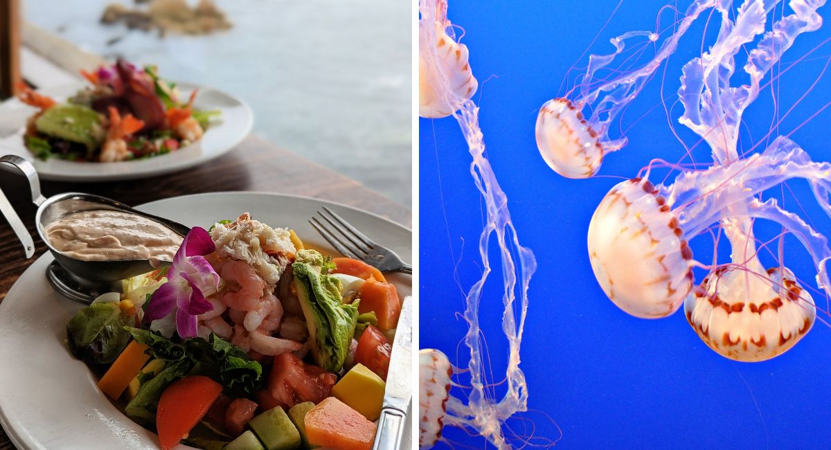 San Francisco to Monterey Main Image