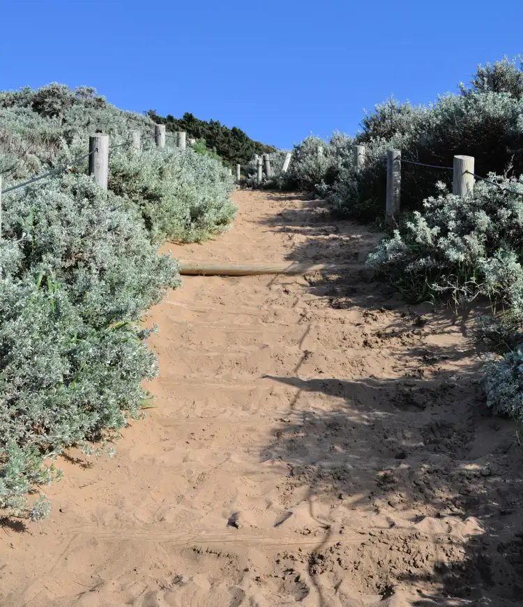 Part of the Sand Ladder that leads to Baker Beach.