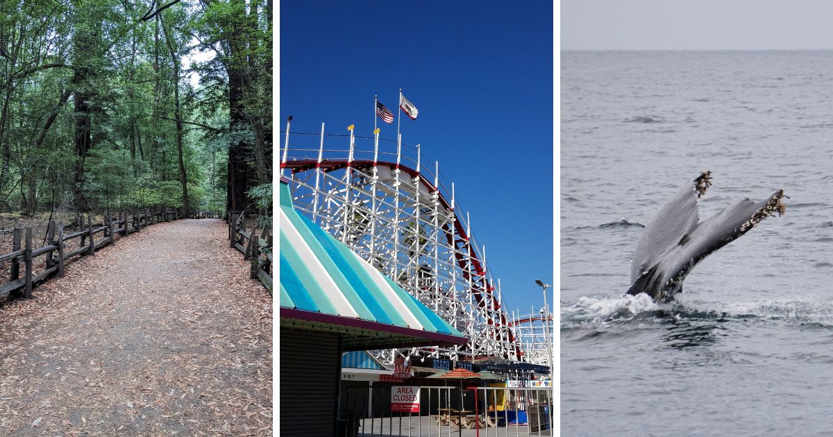 Santa Cruz Things to Do