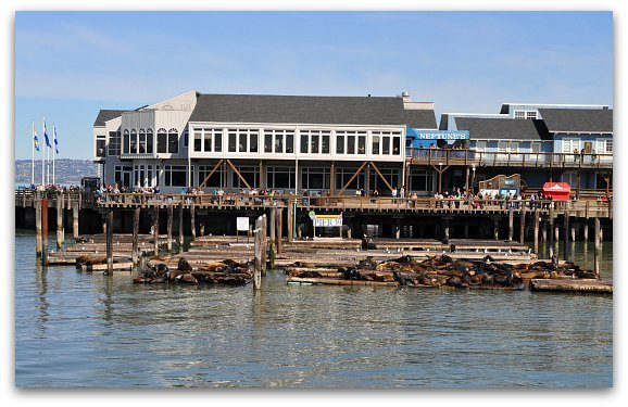 PIER 39 — Fisherman's Wharf San Francisco