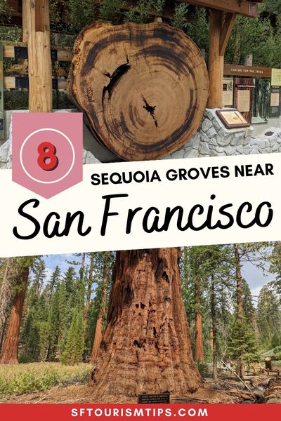 Sequoia Groves Near San Francisco Pinterest Pin