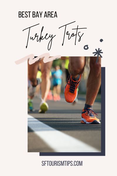 SF Turkey Trots Pin