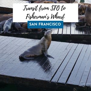 SFO to Fisherman's Wharf
