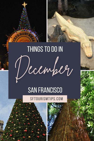 Things to Do in December Pin