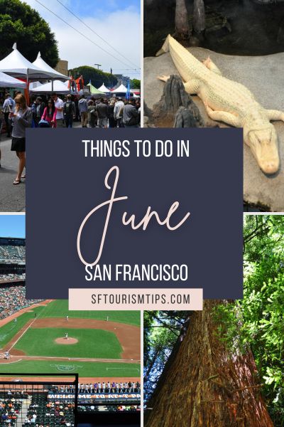 Things to Do in June Pin