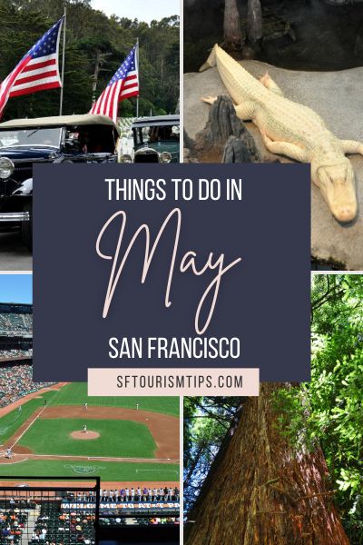 Things to Do in May Pin