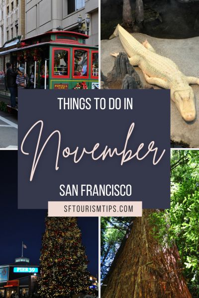 Things to Do in November Pin