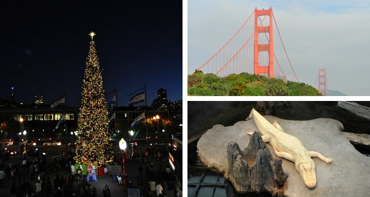 7 Unique Places to Celebrate Your Birthday in San Francisco