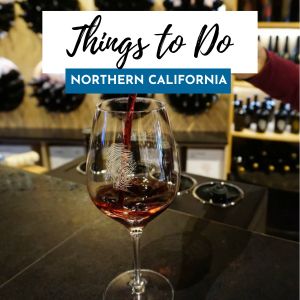 things to do northern ca 300