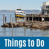 Things to Do