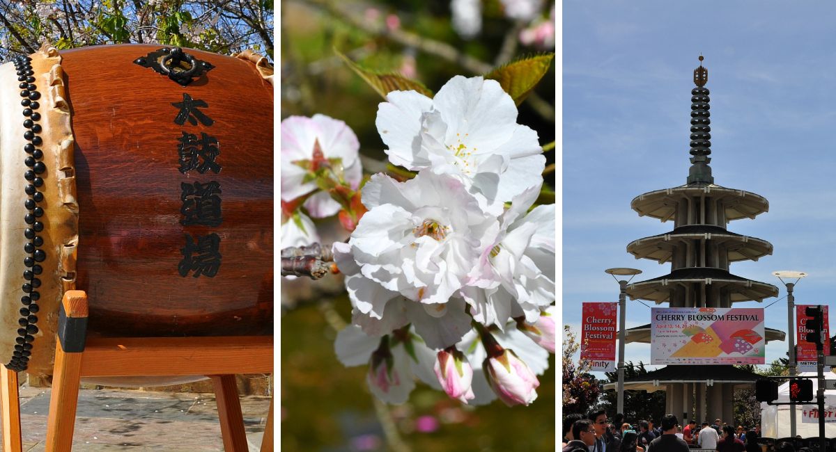 San Francisco Cherry Blossom Festival 2024 SF Japantown