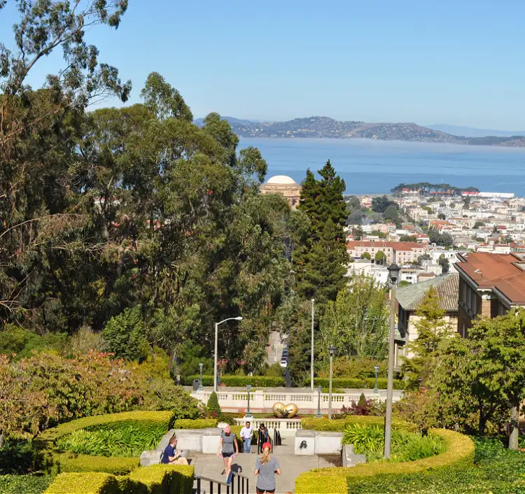 View from the top of the Lyon Street Steps