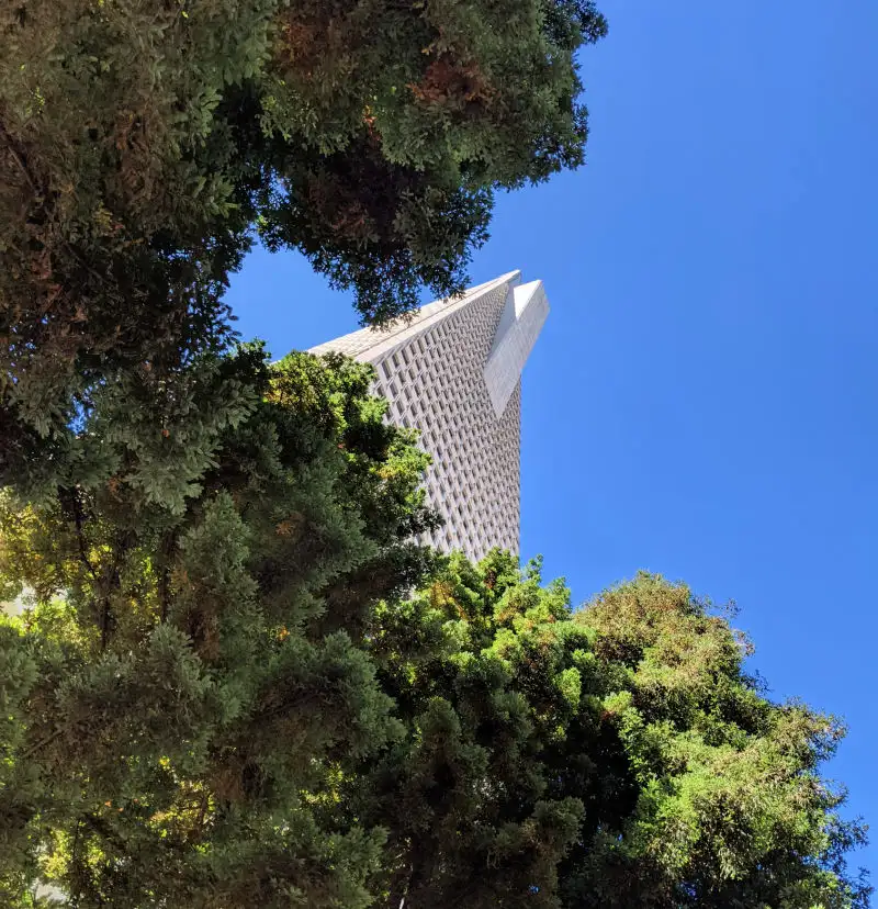 Transamerica Redwood Park in San Francisco Transamerica Redwood Park in San Francisco