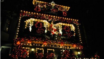 Tree Lighting Tree Lighting