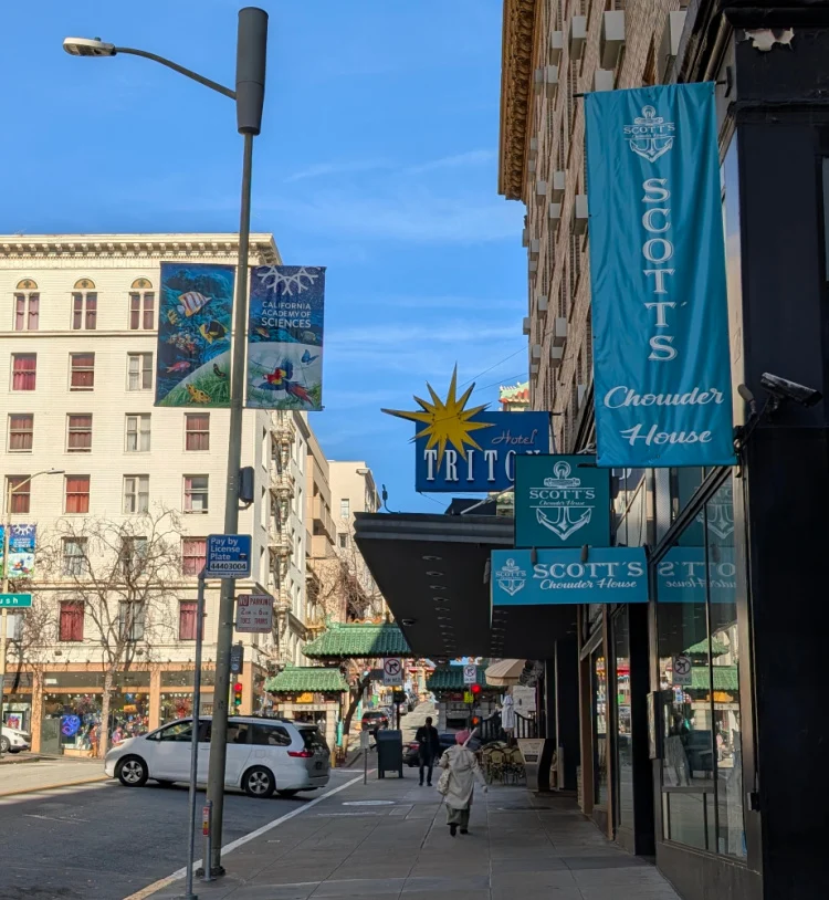 Hotel Triton in Union Square is one of the best affordable pet-friendly hotels.