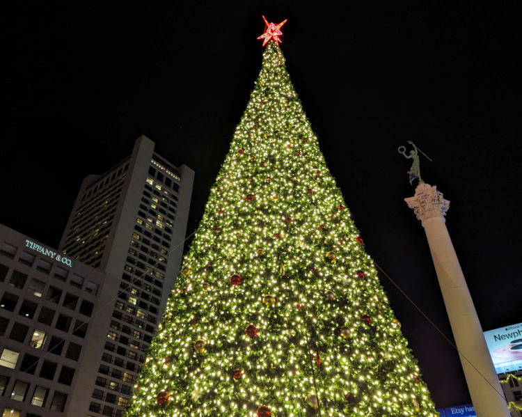 Union Square Tree in San Francisco