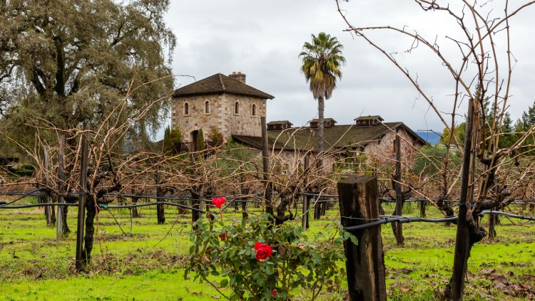 V. Sattui Winery in Napa