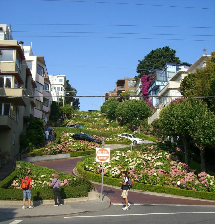 Blooming gardens along the brick-lined curves of Lombard Street