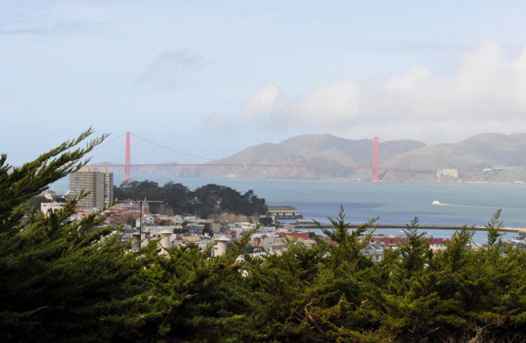 View from Coit Tower