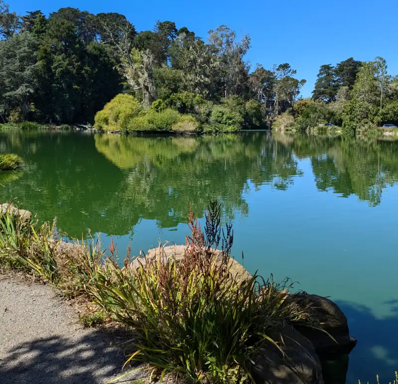 View from the Trail at Blue Heron Lake
