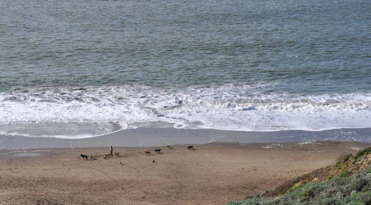 Looking down on Baker Beach from the Coastal Trail in San Francisco