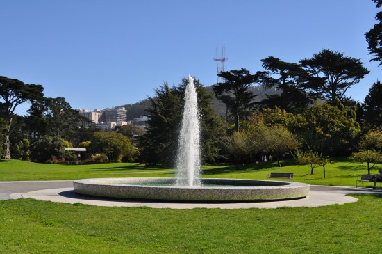 San Francisco Botanical Gardens Tips To Visit