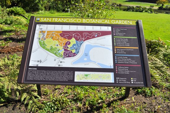 San Francisco Botanical Gardens Tips To Visit