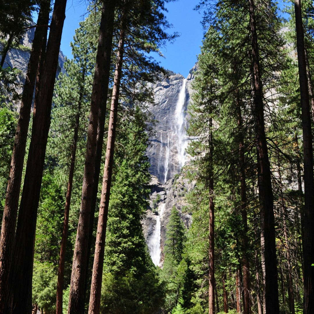 Yosemite Falls 200